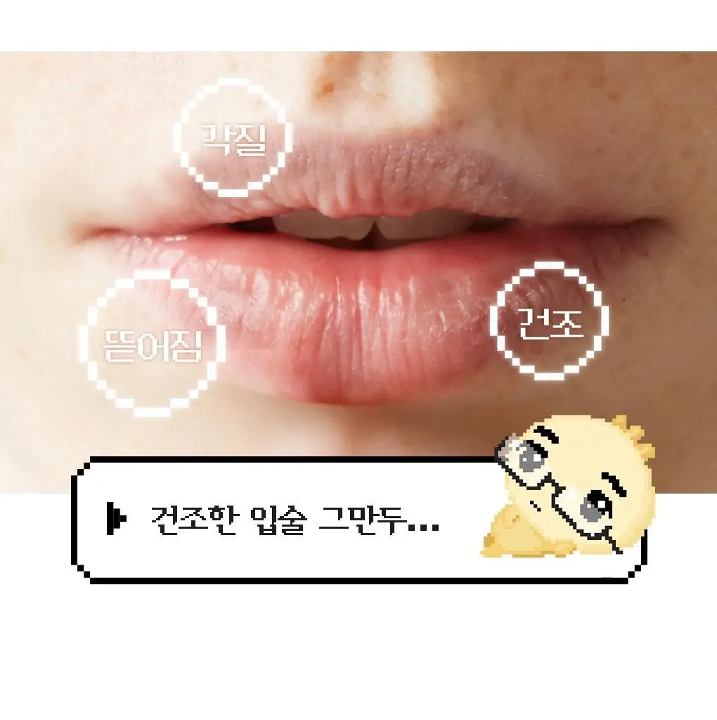 [2025어워즈] 브링그린 대나무 히알루 립 에센스 2입 기획 (보습+컬러) 상세페이지 21